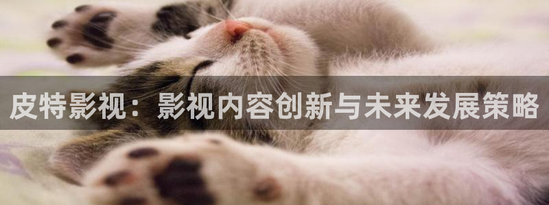 神马影院在线观看限制级